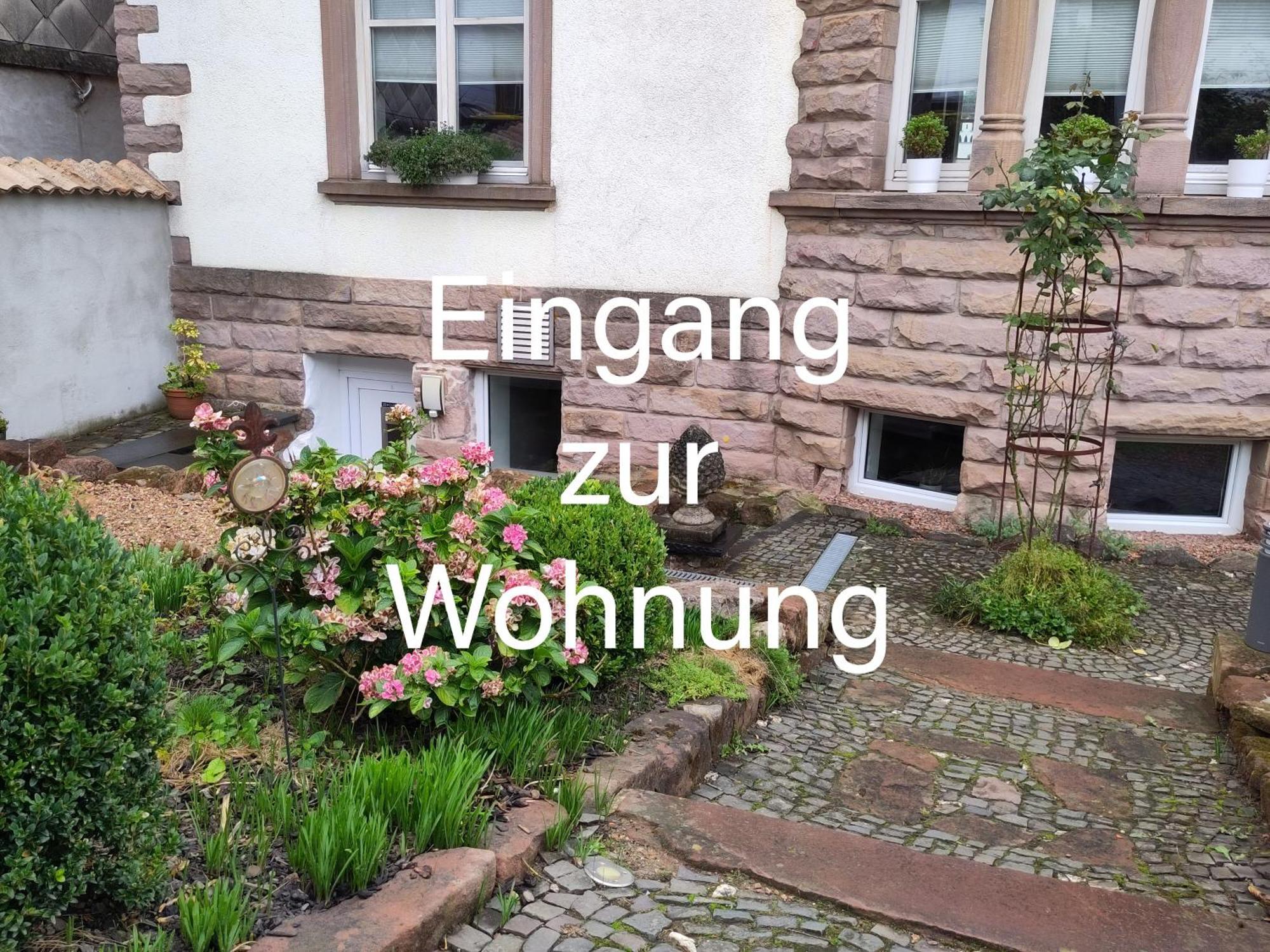 Casa Viva - Separate, Ruhig Gelegene Wohnung Quierschied Dış mekan fotoğraf